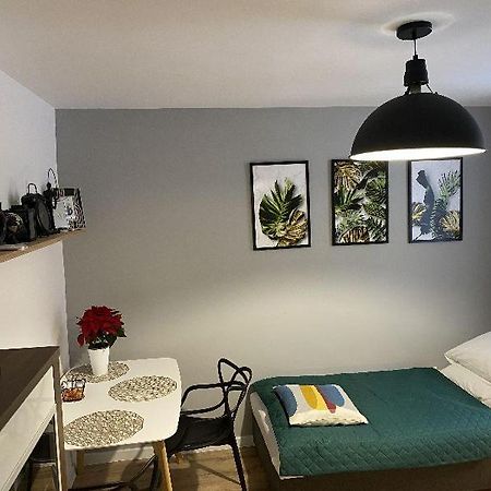 Apartamenty Blogi Sen Ii- Komfortowy Nocleg W Spokojnej Lokalizacji Zabrze Luaran gambar