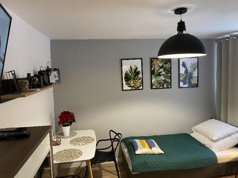 Apartamenty Blogi Sen Ii- Komfortowy Nocleg W Spokojnej Lokalizacji Zabrze Luaran gambar